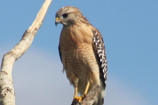 Tour image 5