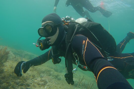 Tour image 5