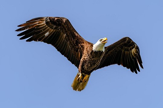 Tour image 12